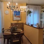 Rent 4 bedroom apartment of 110 m² in Treviso