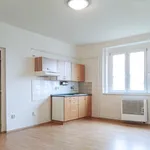 Rent 1 bedroom house in Louny