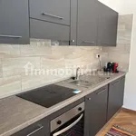 Rent 2 bedroom apartment of 60 m² in Rome