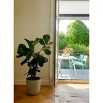 Rent 3 bedroom apartment in Zurich