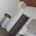 Rent 1 bedroom apartment of 25 m² in Turin