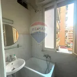 Affitto 1 camera appartamento di 40 m² in Roma