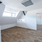 Pronajměte si 4 ložnic/e byt o rozloze 80 m² v Prague