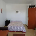 Rent a room of 80 m² in lisbon