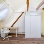 Rent 6 bedroom apartment in Prague