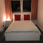 Rent 3 bedroom flat in London