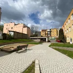 Rent 1 bedroom apartment in Teplice