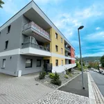 Moderne, barrierefreie 2-Raum-Erdgeschosswohnung auf dem Zeller Berg