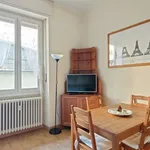 Rent 1 bedroom apartment in milan