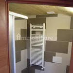 Rent 1 bedroom apartment of 20 m² in Bologna