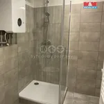 Rent 3 bedroom apartment of 89 m² in Praha