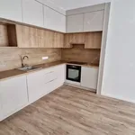 Rent 2 bedroom apartment of 46 m² in budapest