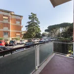 Rent 1 bedroom apartment in Florence