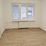 Rent 1 bedroom apartment of 60 m² in Chomutov