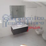 Affitto 4 camera casa di 90 m² in Pisa