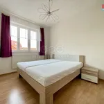 Rent 2 bedroom apartment of 53 m² in Praha