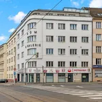 Rent 2 bedroom apartment of 60 m² in Praha