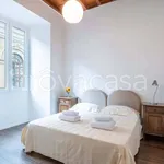 Rent 4 bedroom apartment of 95 m² in Firenze