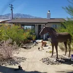 Rent 3 bedroom house in Palm Springs