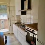 Rent 3 bedroom apartment of 90 m² in Monfalcone