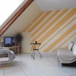 Rent 1 bedroom apartment of 50 m² in BENFELD