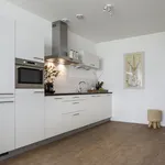 Rent 3 bedroom apartment of 84 m² in Zoetermeer