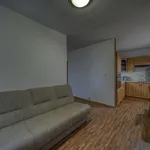 Rent 1 bedroom apartment of 37 m² in Poděbrady