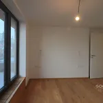 Rent 3 bedroom apartment of 65 m² in Prague