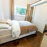 Rent 1 bedroom apartment in London