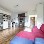 Rent 1 bedroom apartment of 45 m² in Monza