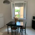 Rent 2 bedroom apartment in Bologna