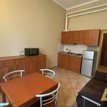 Rent 2 bedroom apartment of 50 m² in Torino