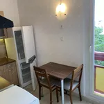 Rent 2 bedroom apartment of 50 m² in Pécs