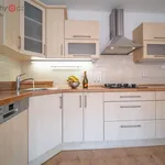 Rent 3 bedroom apartment of 60 m² in České Budějovice