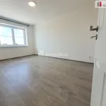 Rent 1 bedroom house of 409 m² in Tuhaň