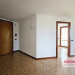 Rent 5 bedroom house of 250 m² in Monticello Conte Otto