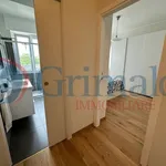 Rent 2 bedroom apartment of 65 m² in Milan