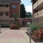 Rent 1 bedroom flat in West Midlands