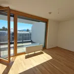 Rent 2 bedroom apartment of 57 m² in Wien