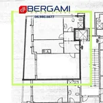 Rent 3 bedroom apartment of 70 m² in Roma