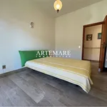 Affitto 6 camera casa di 150 m² in Pietrasanta