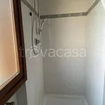 Rent 2 bedroom apartment of 65 m² in Prato