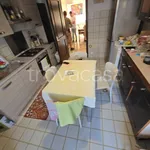 Rent 4 bedroom apartment of 140 m² in Pavia