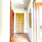 Rent 1 bedroom apartment of 38 m² in Hradec Králové