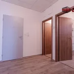 Rent 2 bedroom apartment in Opava