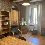 Rent 1 bedroom apartment of 30 m² in Milano