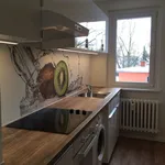 Rent 1 bedroom apartment of 431 m² in Berlin