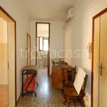 Rent 2 bedroom apartment of 70 m² in Ferrara