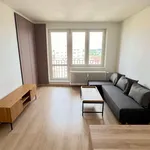 Rent 1 bedroom apartment of 28 m² in Bohumín