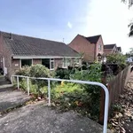 Rent 2 bedroom house in East Midlands